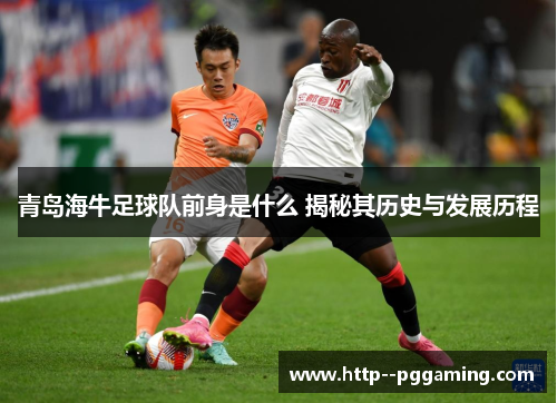 青岛海牛足球队前身是什么 揭秘其历史与发展历程 青岛海牛足球队前身是什么 揭秘其历史与发展历程