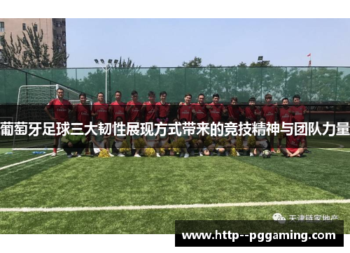 葡萄牙足球三大韧性展现方式带来的竞技精神与团队力量 葡萄牙足球三大韧性展现方式带来的竞技精神与团队力量