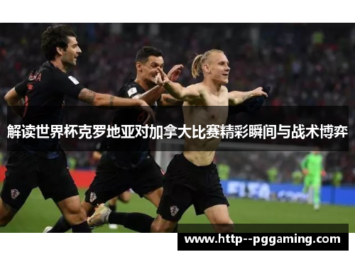 解读世界杯克罗地亚对加拿大比赛精彩瞬间与战术博弈