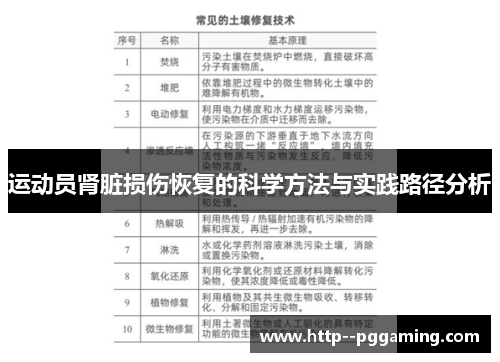 运动员肾脏损伤恢复的科学方法与实践路径分析 运动员肾脏损伤恢复的科学方法与实践路径分析