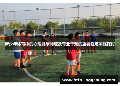 青少年体育中的心理健康问题及专业干预的重要性与策略探讨